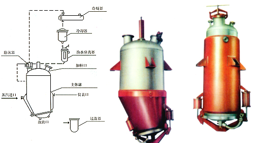 忘忧草红杏二区三区